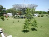 La Antena I desde la torre